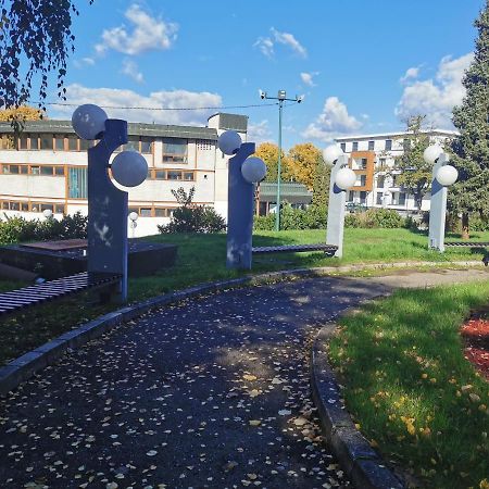 Apartment Ornament Lux Vrnjačka Banja المظهر الخارجي الصورة