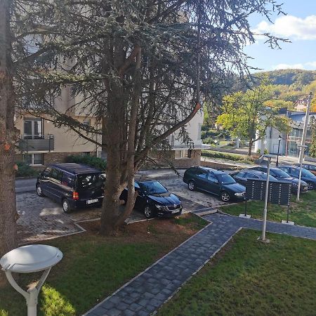 Apartment Ornament Lux Vrnjačka Banja المظهر الخارجي الصورة