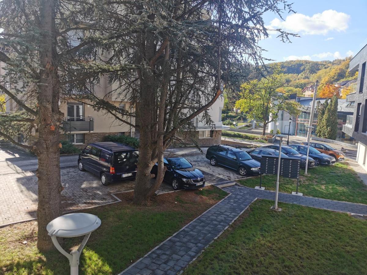 Apartment Ornament Lux Vrnjačka Banja المظهر الخارجي الصورة
